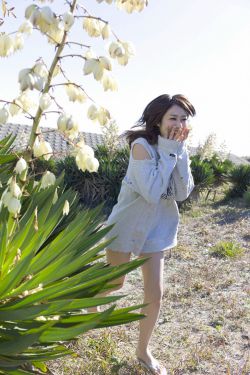 瀧川雅美bt